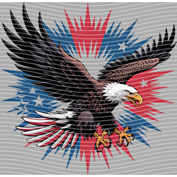 USA-MG 3570